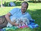 PIC-NIC in the park with Asia Puppies.