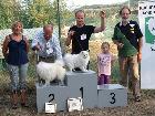 CH. ASIA DELLA VOLPE BIANCA; Ripr. Sel. Enci; Italian Champion; Int. CH; World Champion 2012; World Champion 2015; BOB Meeting ATAVI 2011; BOB Meeting ATAVI 2012; BOS meeting ATAVI 2013; BOB meeting ATAVI 2014; Caput Mundi Winner 2015