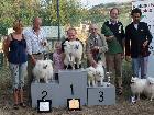 CH. ASIA DELLA VOLPE BIANCA; Ripr. Sel. Enci; Italian Champion; Int. CH; World Champion 2012; World Champion 2015; BOB Meeting ATAVI 2011; BOB Meeting ATAVI 2012; BOS meeting ATAVI 2013; BOB meeting ATAVI 2014; Caput Mundi Winner 2015