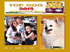 ASIA TOP DOG 2015