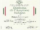 CH. SENZAFINE DELLA VOLPE BIANCA; Ripr. Selez. Enci; CH. IT; CH. Sociale Giovane 2015; CH. Mond. Giovane 2015; Giovane Promessa Enci; CH. Italiano; BOB Speciale ATAVI  Foggia 2014; BOB Speciale ATAVI Modena 2016