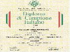 CH. DOLCISSIMA DELLA VOLPE BIANCA;  Campione Italiano; Campione Mondiale Parigi 2011; Giovane Promessa Enci; Mediterraner Winner 2010; TOP Giovane 2010 
