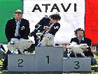 3° RADUNO NAZIONALE ATAVI