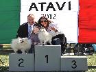 CH. ASIA DELLA VOLPE BIANCA; Ripr. Selez. Enci; CH It; CH Int; CH Mond. 2012; CH. Mond. 2015; CH Ripr; CH. Soc; Caput Mundi 2015; Top Dog 2015