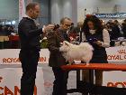 EXPO INT. PADOVA 2013