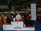 EXPO INT. DI FIRENZE 2010