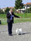 5° MEETING ATAVI IN ROSIGNANO 2014 