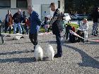 5° MEETING ATAVI IN ROSIGNANO 2014 