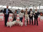 EXPO SPECIALE ATAVI PARMA 2014