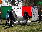 3° MEETING ATAVI  IN TOLENTINO