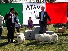 3° MEETING ATAVI  IN TOLENTINO