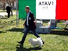 3° MEETING ATAVI  IN TOLENTINO