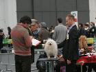 EXPO INT. DI MODENA 2011