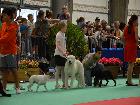 EXPO MACERATA 2014