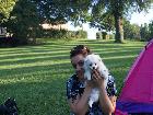 PIC-NIC in the park with Asia Puppies.